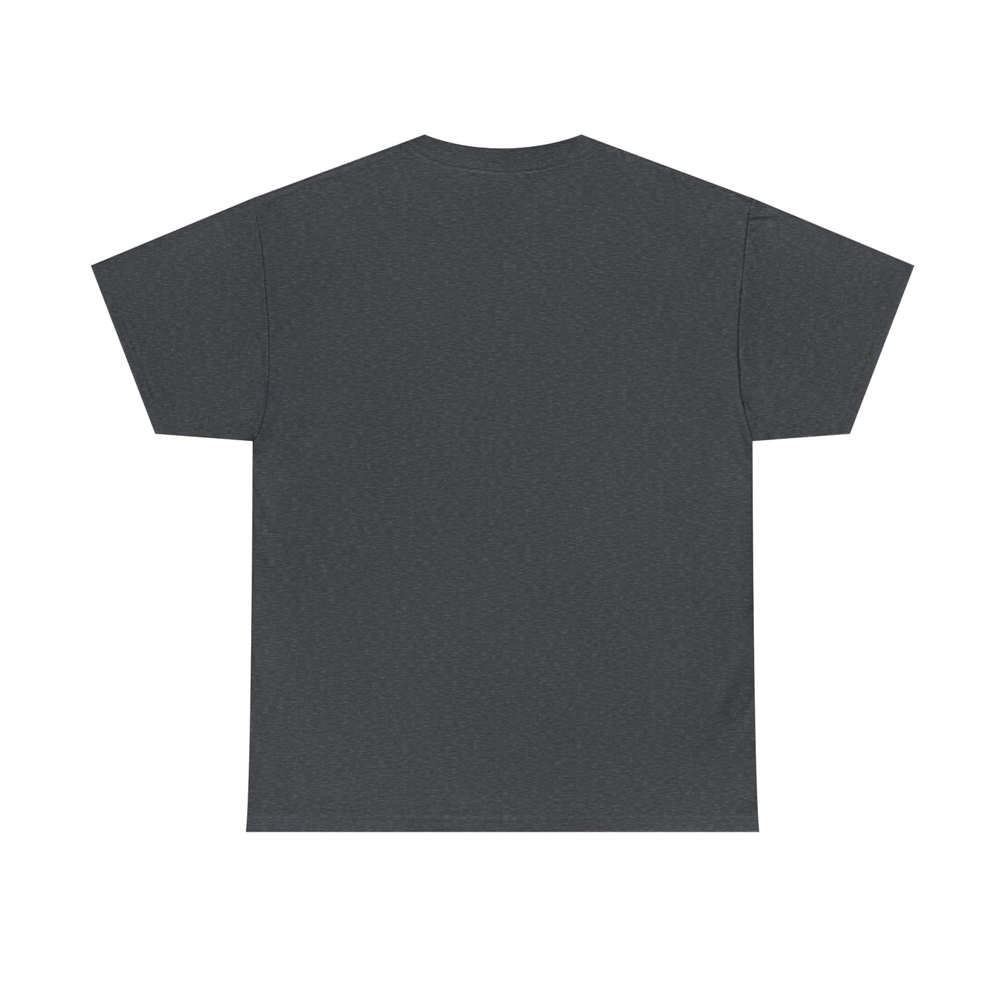 LIQUID LEISURE - Steve Sperry - THEN AND NOW | AND NOW IS THEN - Unisex Heavy Cotton Tee