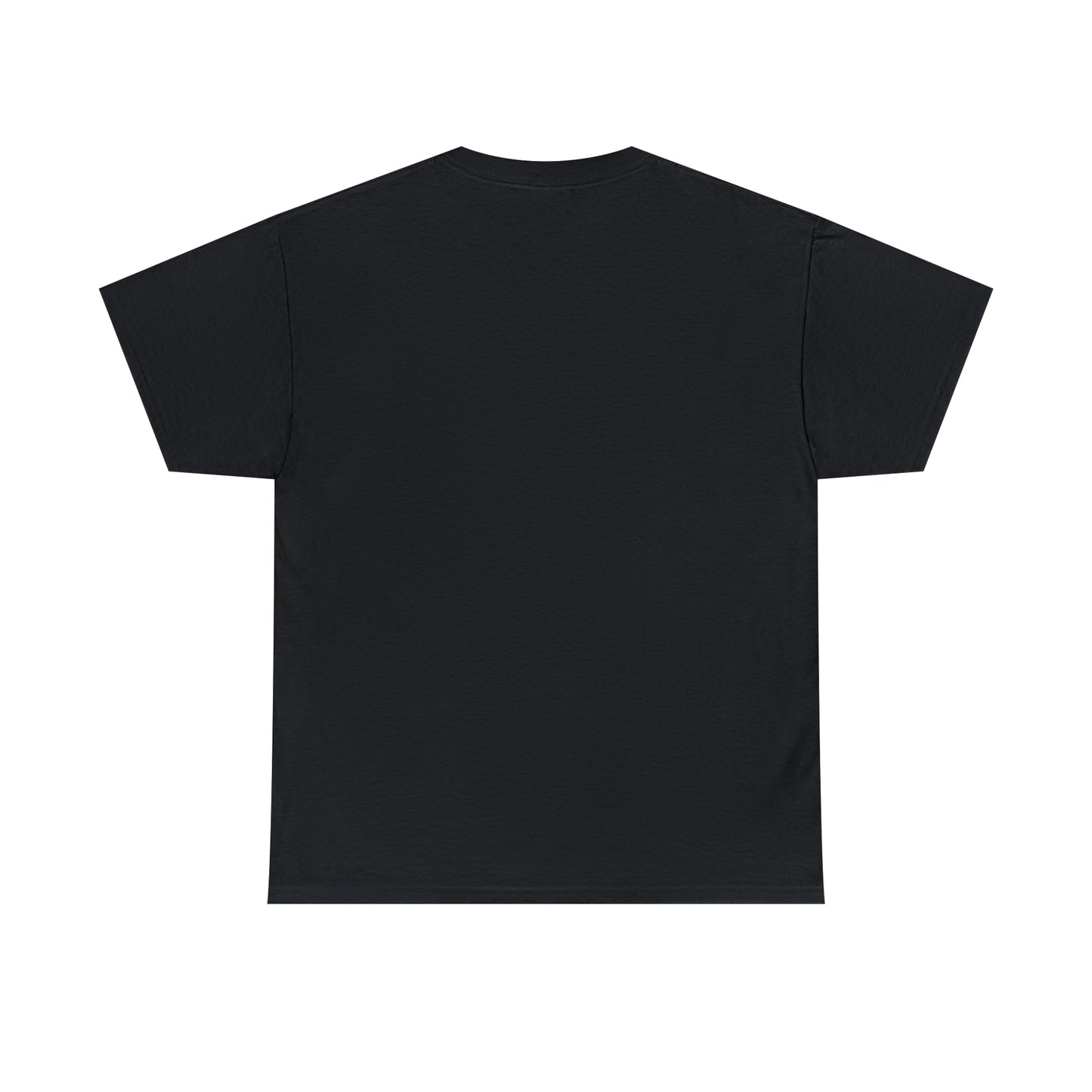 LIQUID LEISURE - Steve Sperry - THEN AND NOW | AND NOW IS THEN - Unisex Heavy Cotton Tee