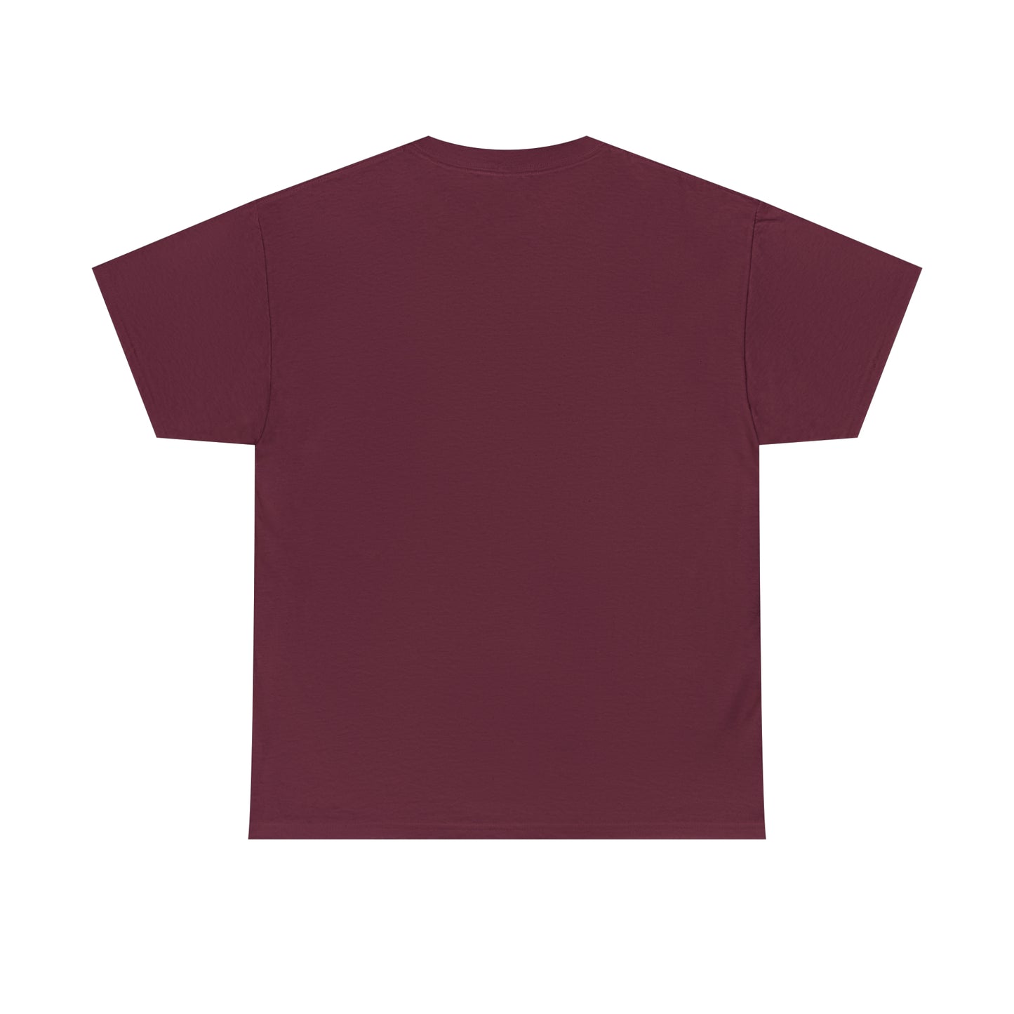 LIQUID LEISURE - Steve Sperry - THEN AND NOW | AND NOW IS THEN - Unisex Heavy Cotton Tee
