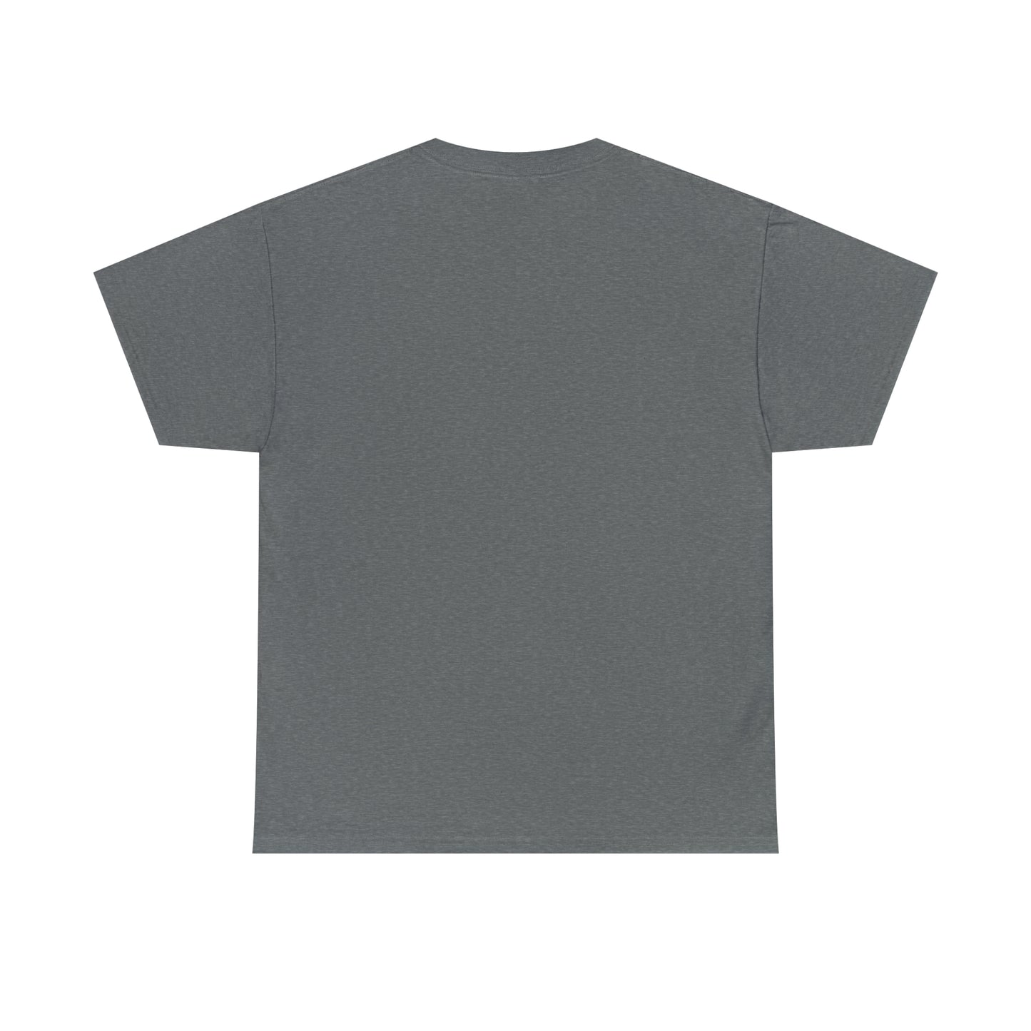 LIQUID LEISURE - Steve Sperry - THEN AND NOW | AND NOW IS THEN - Unisex Heavy Cotton Tee
