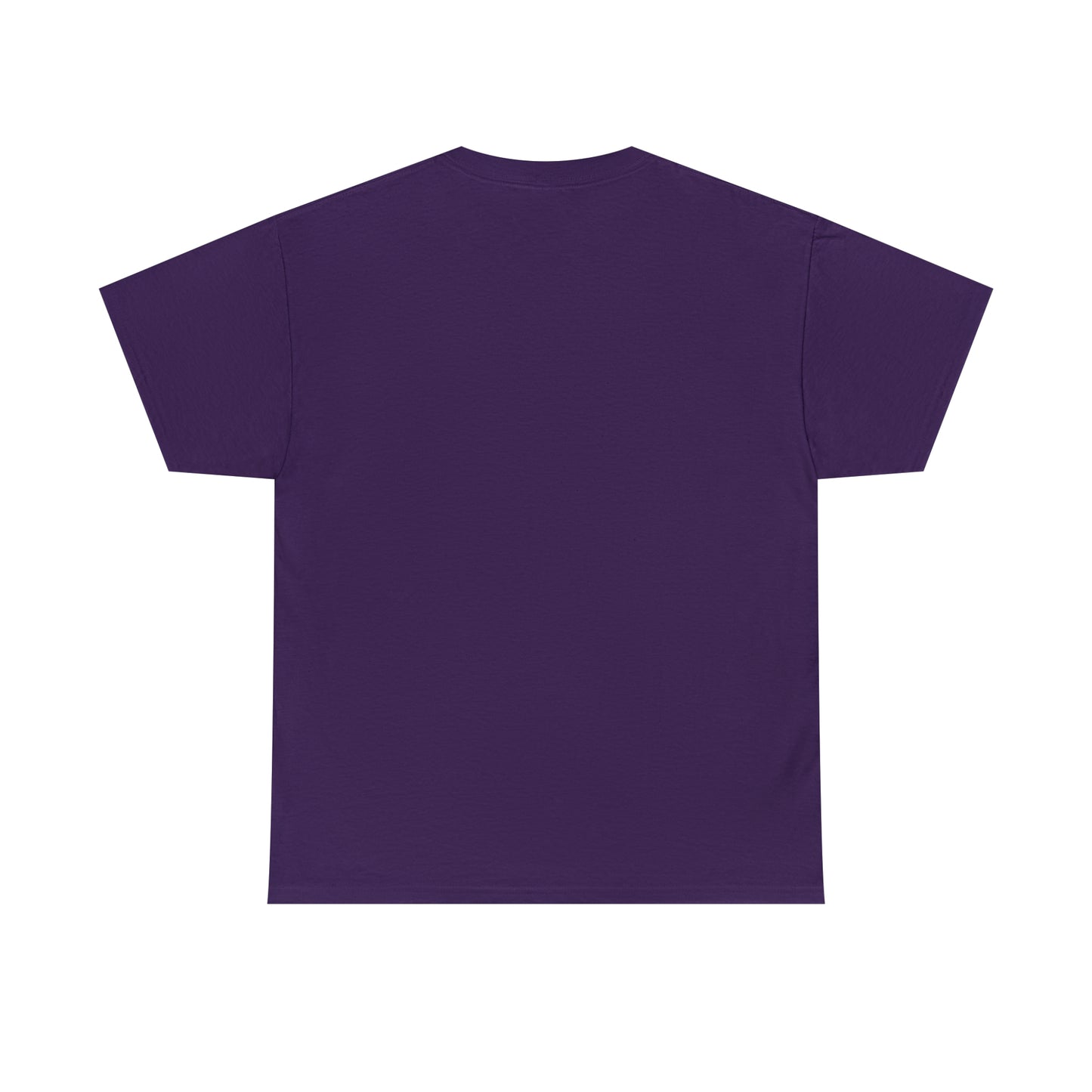 LIQUID LEISURE - Steve Sperry - THEN AND NOW | AND NOW IS THEN - Unisex Heavy Cotton Tee