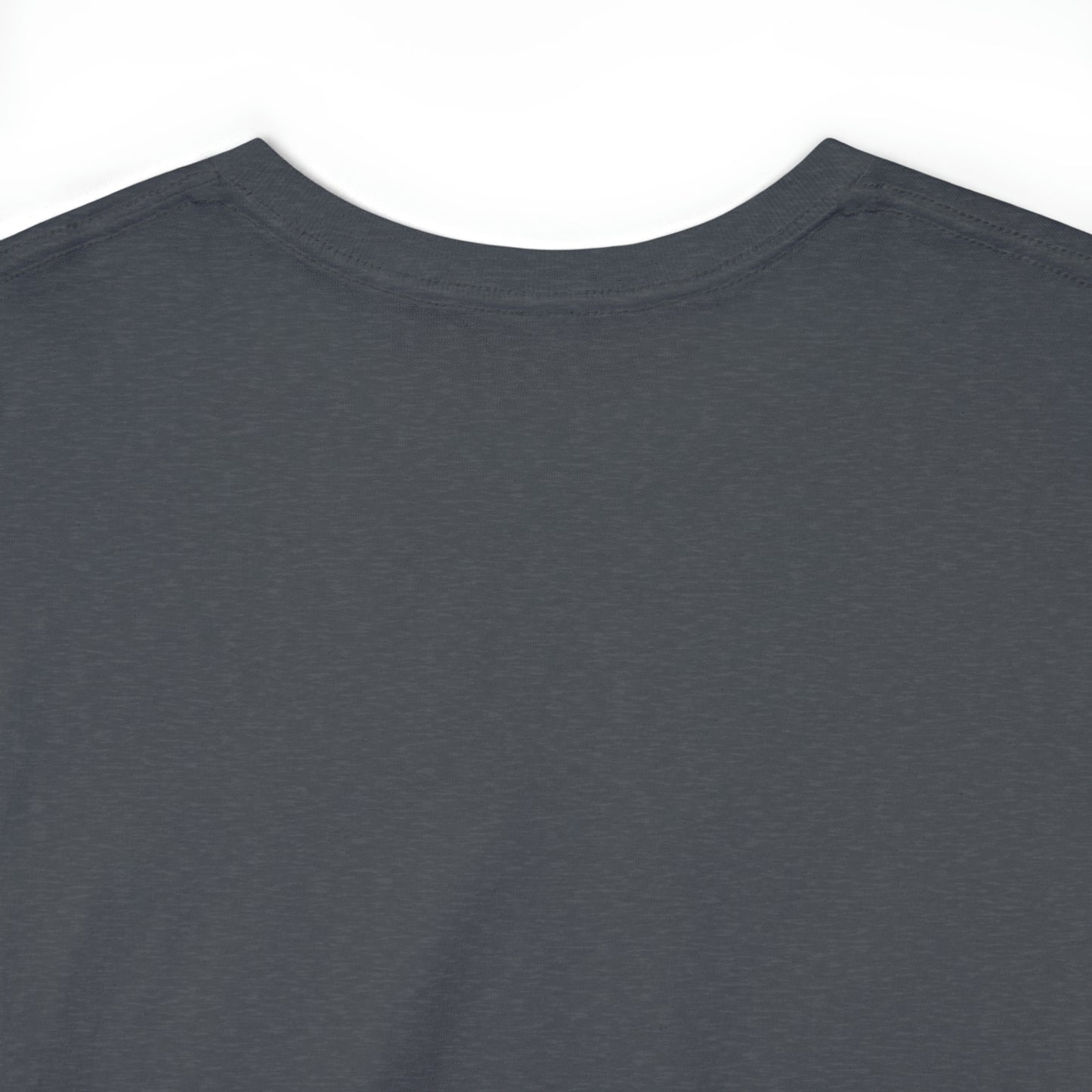 LIQUID LEISURE - Steve Sperry - THEN AND NOW | AND NOW IS THEN - Unisex Heavy Cotton Tee