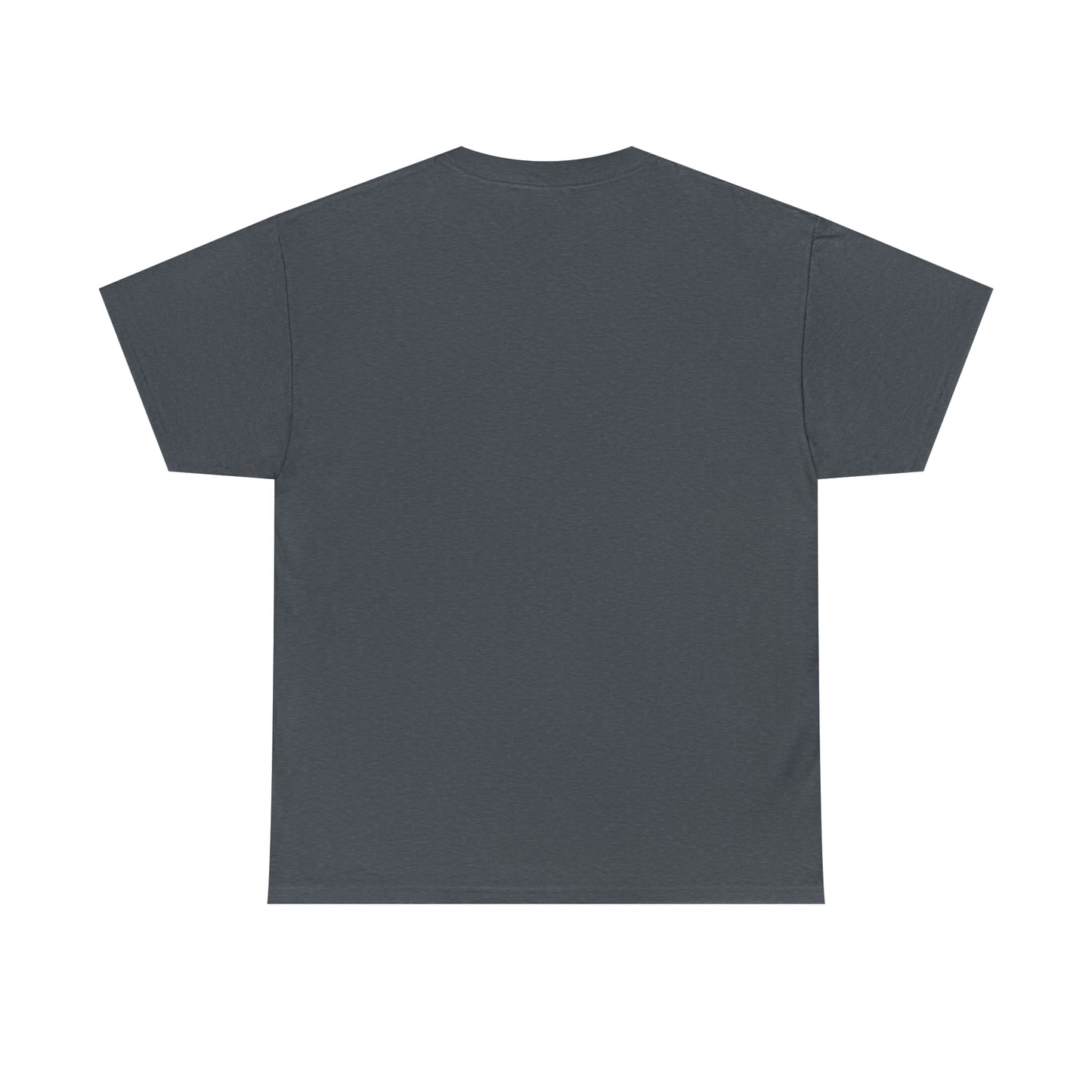 LIQUID LEISURE - Steve Sperry - THEN AND NOW | AND NOW IS THEN - Unisex Heavy Cotton Tee