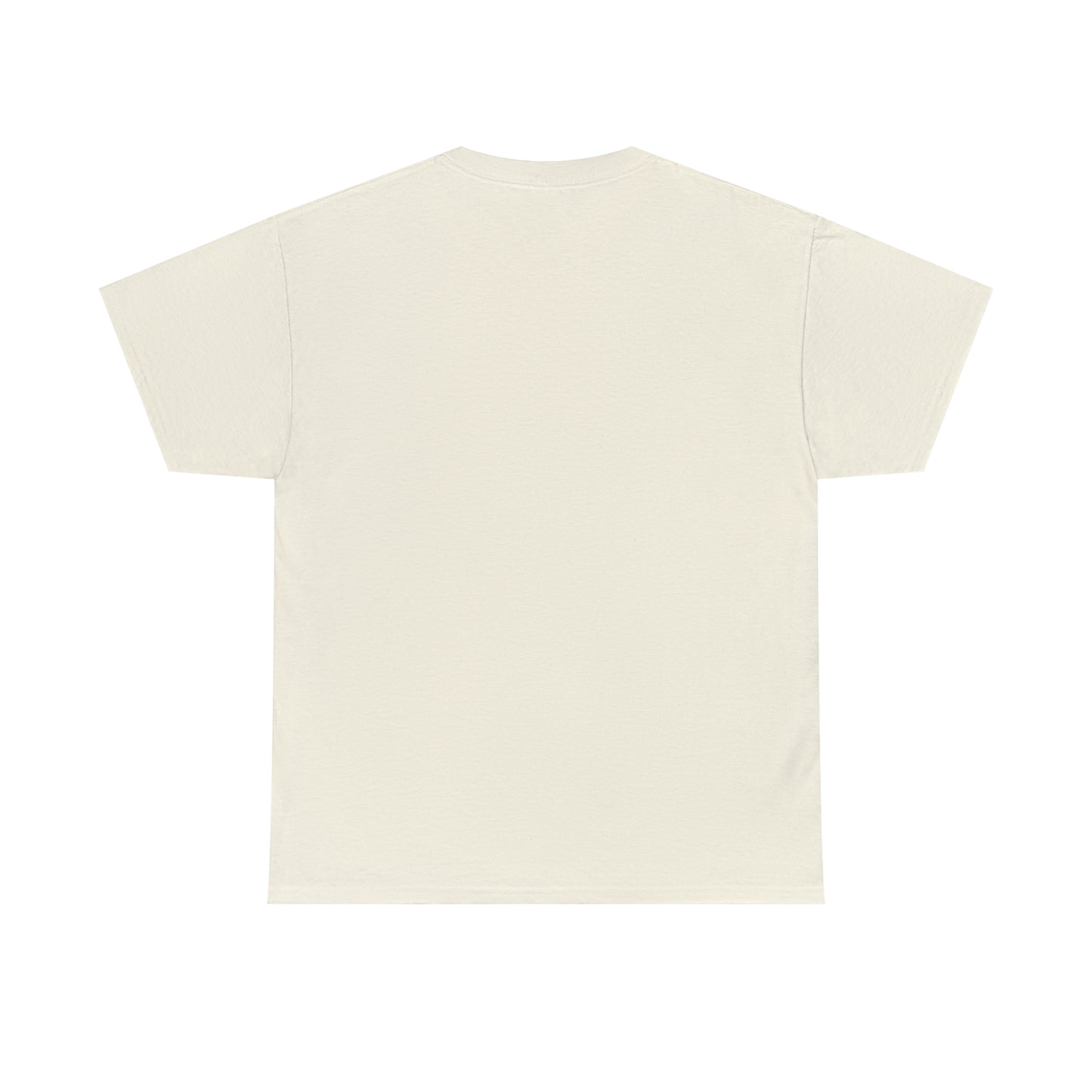 LIQUID LEISURE - Steve Sperry - THEN AND NOW | AND NOW IS THEN - Unisex Heavy Cotton Tee